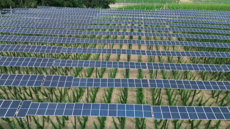 Australia approves $19 bln solar farm to send energy to Singapore by submarine cable