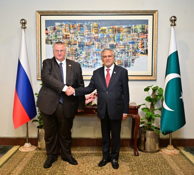 Deputy PM seeks enhanced energy, trade cooperation with ‘key player’ Russia