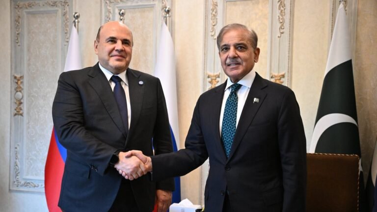 Prime Minister of Pakistan Holds A Bilateral Meeting With the Russian Federation’s Prime Minister at the SCO