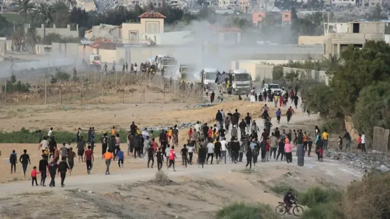 Two killed in Gaza as aid convoy looted: WFP