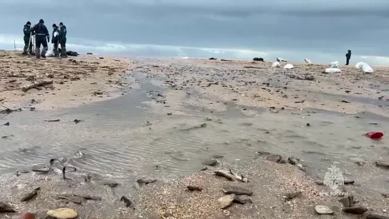 Oil from Russian tanker spill reaches Sevastopol