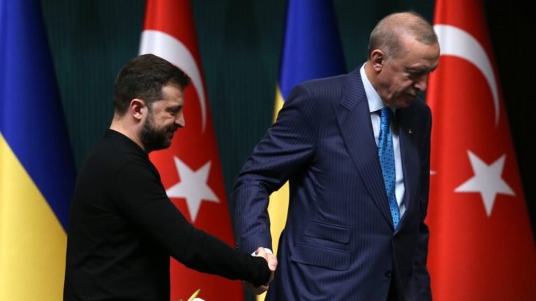 Zelenskyy wants more cooperation with Türkiye