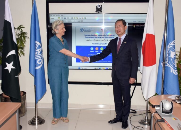Japan-Funded FAO Project Helps Restore Farming and Livestock Livelihoods in Flood-Hit Pakistan 
