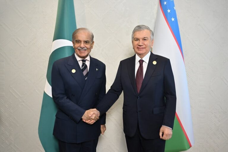 Leaders of Uzbekistan and Pakistan discuss issues of practical implementation of agreements on the highest level